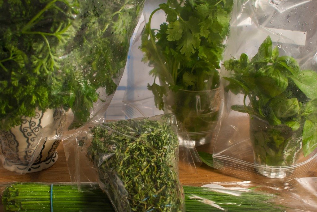The Best Way To Store Fresh Herbs What Dad Cooked