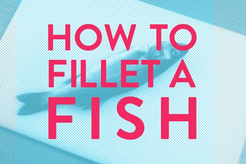 Filleting a fish is fun and satisfying. Every aspiring home cook should always fillet their fish.